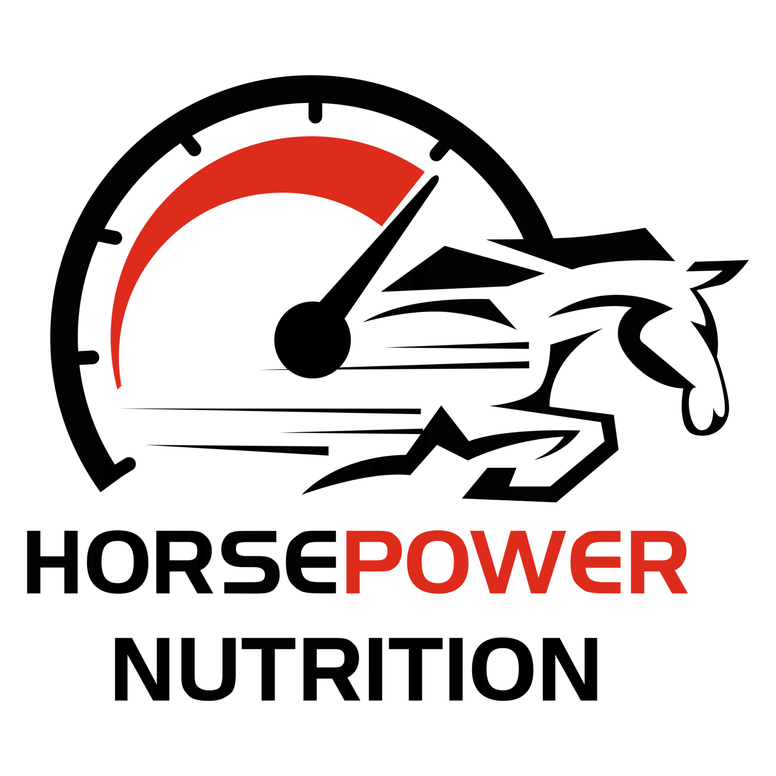 Horsepower Nutriton Store Chandigarh